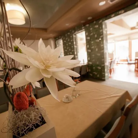 Spa 4* Леднице